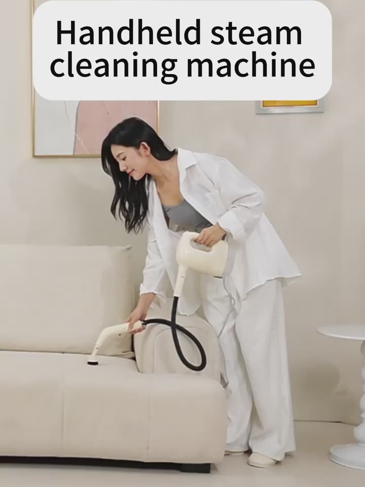 Handheld Steam Cleaner